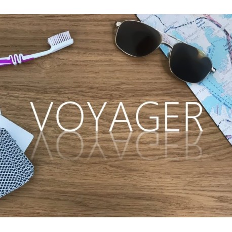 Voyager Steam CD Key