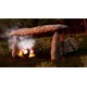 FIRE The First Dreamer PC Steam CD Key