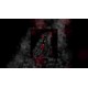 Figures Of Shadows PC Steam CD Key