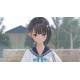 BLUE REFLECTION PC Steam CD Key