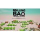 RollingBAO PC Steam CD Key