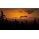 Fire Lookout: Abandoned Post PC Steam CD Key