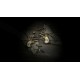 Hunt: Showdown 1896 - The Madness of Montresor DLC PC Steam CD Key