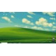 Desktop Fishing PC Steam CD Key