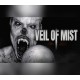 Veil of Mist PC Steam CD Key