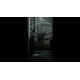Veil of Mist PC Steam CD Key