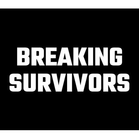 Breaking Survivors PC Steam CD Key