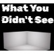 What You Didn't See PC Steam CD Key