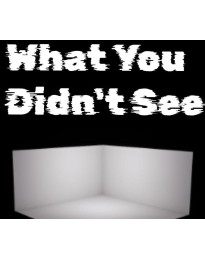 What You Didn't See PC Steam CD Key