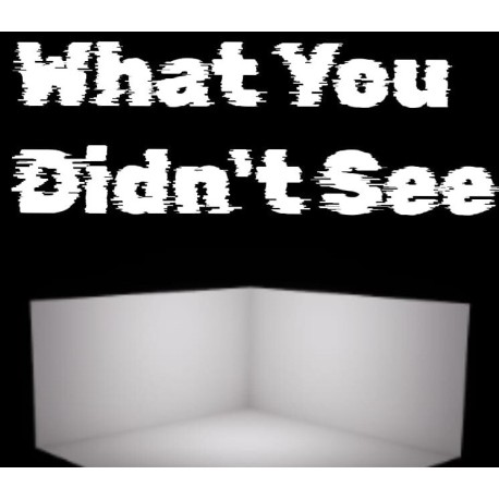 What You Didn't See PC Steam CD Key