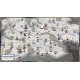 Order of Battle - Winter War DLC PC Steam CD Key
