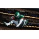 Madden NFL 26 - 2800 Points DLC Xbox Series X|S CD Key