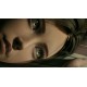 The Evelyn Game PC Steam CD Key