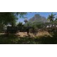 Crysis Remastered US XBOX One / Xbox Series X|S CD Key