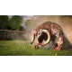 Serious Sam 4 Xbox Series X|S CD Key