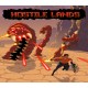 Hostile Lands PC Steam CD Key
