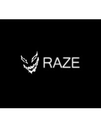 RAZE PC Steam CD Key