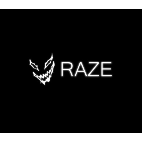 RAZE PC Steam CD Key