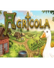 Agricola - The King's Farmer PC Steam CD Key