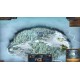 Millennia - Ancient Worlds DLC EU PC Steam CD Key