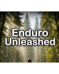 Enduro Unleashed PC Steam CD Key