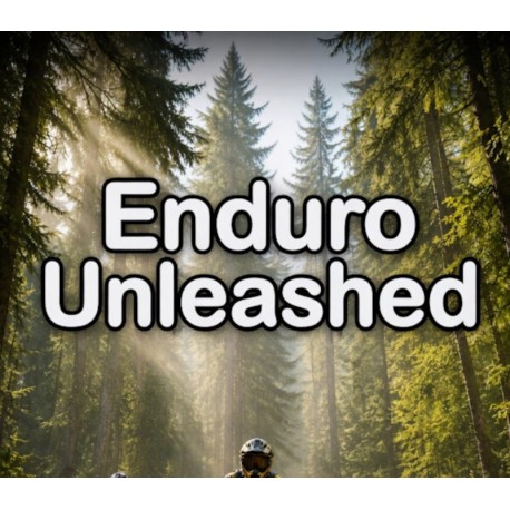 Enduro Unleashed PC Steam CD Key