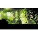 Dreamlike Worlds Steam CD Key