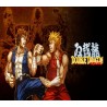 Double Dragon Advance Steam CD Key