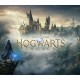 Hogwarts Legacy PS5 Access