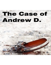 The Case of Andrew D. PC Steam CD Key