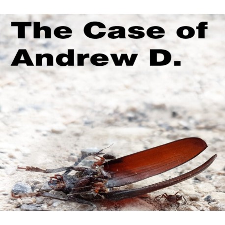The Case of Andrew D. PC Steam CD Key