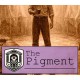 The Pigment PC Steam CD Key