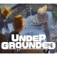 UNDERGROUNDED PC Steam CD Key