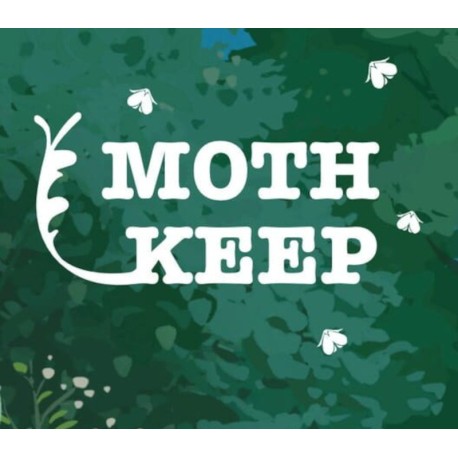 Mothkeep PC Steam CD Key
