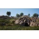 Medieval Dynasty AR Xbox Series X|S / Windows 10 CD Key