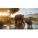 Planet Zoo 2 PC Steam Account