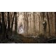 The Talos Principle Ultimate Collection EU Xbox Series X|S / XBOX One CD Key