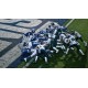 EA SPORTS MVP Bundle 27 (College Football 27 Deluxe Edition & Madden NFL 27 Deluxe Edition) US Xbox Series X|S CD Key