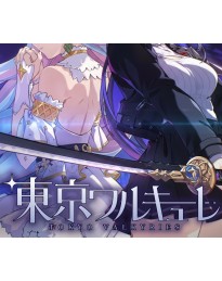 Tokyo Valkyries PC Steam CD Key