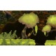Lost Home Steam CD Key