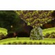 Lost Home Steam CD Key