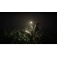 Unforgiving - A Northern Hymn Steam CD Key
