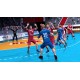 Handball 17 PC Steam CD Key