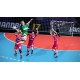 Handball 17 PC Steam CD Key