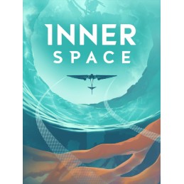 InnerSpace EU Steam CD Key