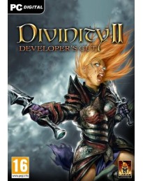 Divinity II: Developer's Cut Steam CD Key