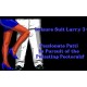 Leisure Suit Larry 3 - Passionate Patti in Pursuit of the Pulsating Pectorals Steam CD Key