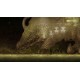 Mirage of Dragon Steam CD Key
