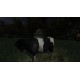 The Cows Are Watching Steam CD Key
