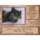 Wolf Pack Steam CD Key